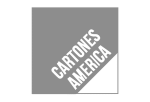 Text on a gray background